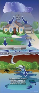 Enlarge image of stormwater cycle.