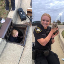 Picture of police officer down in a storm drain, then holding the kitten she rescued