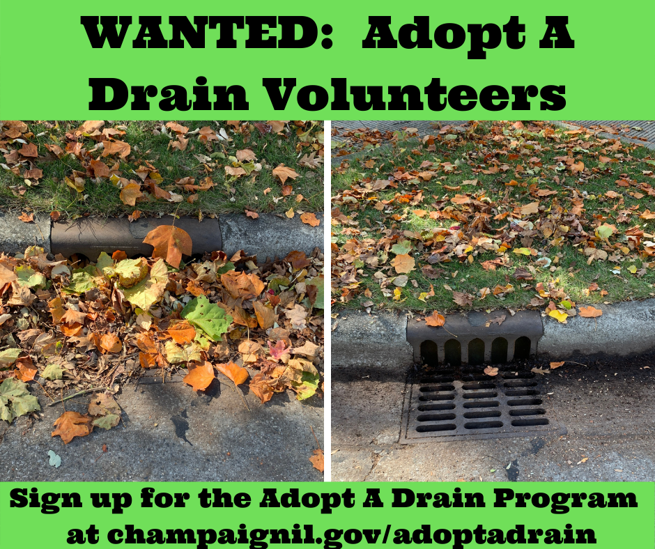 Adopt A Drain 311 S Willis