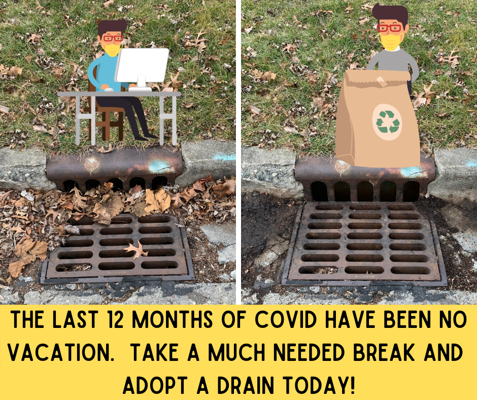 Adopt A Drain 1701 Chevy Chase Dr