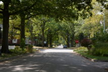 Tree-lined neighborhood street