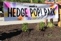 Hedge POP! Park Banner